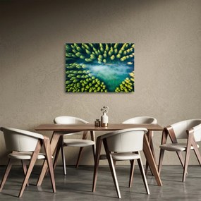 Obraz na szkle - Las spowity mgłą (70x50 cm)