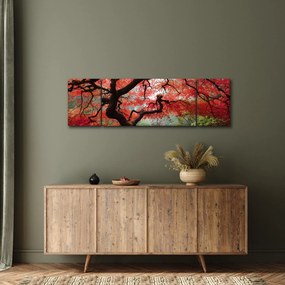 Obraz czerwonego klonu japońskiego, Portland, Oregon (170x50 cm)