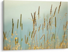 Obraz - Łąkowa chwila (70x50 cm)