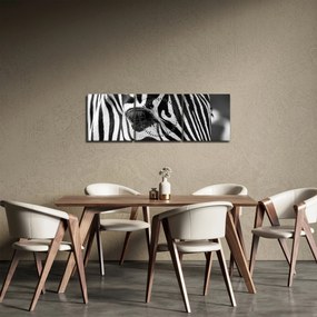 Obraz zebry (z zegarem) (90x30 cm)