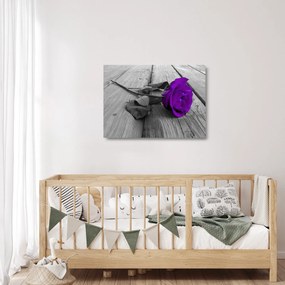 Obraz na szkle - Fioletowa róża z zieloną łodygą (70x50 cm)