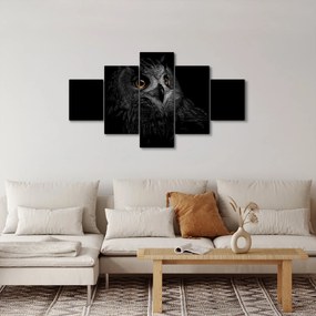 Obraz - Sowa, ilustracja (125x70 cm)