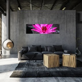 Obraz - różowy kwiat (170x50 cm)