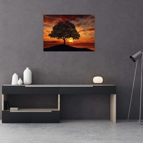 Obraz na szkle drzewa o zachodzie słońca (70x50 cm)