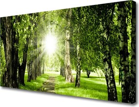 Obraz canvas Rozświetlona Ścieżka Leśna