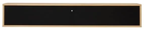 Czarno-naturalna szafka pod TV w dekorze dębu 133x22 cm Mistral – Hammel Furniture