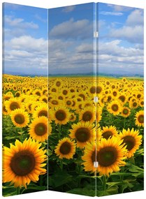 Parawan - Pole słoneczników (126x170 cm)