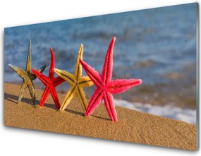 Szkło Dekoracyjne do Kuchni Skarby Morza: Rozgwiazda