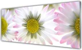 Panel nad blat kuchenny Biała Stokrotka Na Polanie