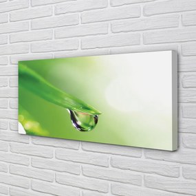 Obraz drukowany na płótnie Słoneczna Kropla na Liściu