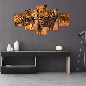 Obraz zebr (125x70 cm)