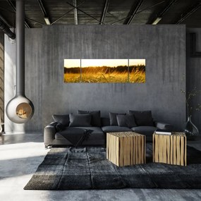 Obraz zroszonej trawy (170x50 cm)