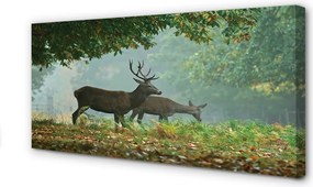 Fotoobraz na płótnie Jeleń w Jesiennym Lesie