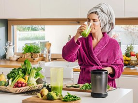 Primera Nutrilife Blender Kielichowy Srebrny 700 W