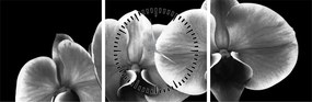 Obraz kwiatu orchidei (z zegarem) (90x30 cm)