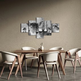 Obraz - Jelonki, czarno - biały (125x70 cm)