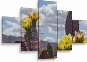 Obraz opuncji (125x70 cm)