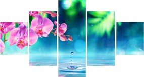 Obraz - Orchidea (125x70 cm)