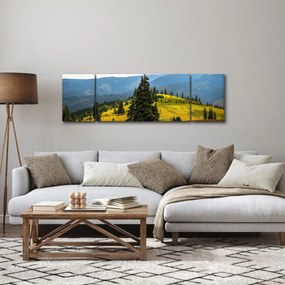 Obraz - Górska łąka (170x50 cm)