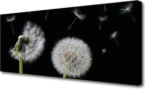 Obraz canvas na ścianę Złocisty Mniszek w Polu