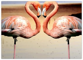 Obraz na szkle - dwa flamingi (70x50 cm)