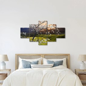 Obraz - Kwitnące drzewo w krajobrazie (125x70 cm)