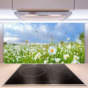 Panel Kuchenny Dywan Białych Stokrotek