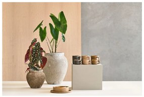 Porcelanowe kubki zestaw 2 szt. 250 ml Fjord – Villa Collection