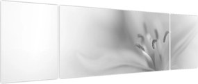 Obraz - Delikatna lilia (170x50 cm)
