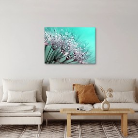 Obraz - zroszona roślina (70x50 cm)