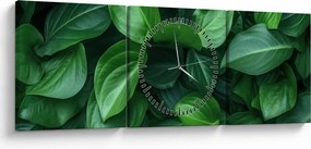 Obraz - Zielone liście (z zegarem) (90x30 cm)