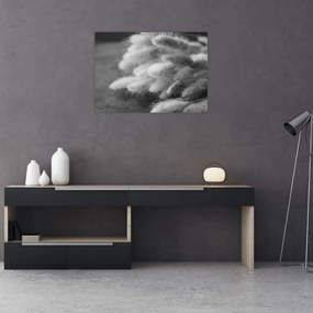 Obraz - trawa z króliczym ogonkiem na stole (70x50 cm)