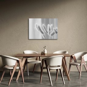 Obraz - Trawa z króliczym ogonkiem (70x50 cm)