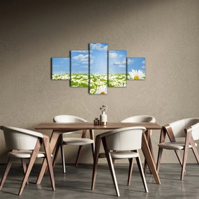 Obraz kwitnącej łąki ze stokrotkami (125x70 cm)