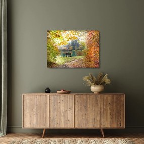 Obraz na szkle - staw (70x50 cm)
