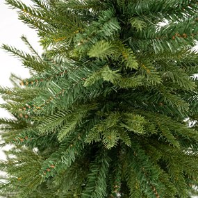 Choinka bożonarodzeniowa Świerk szary, 150 cm