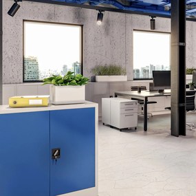 Szafka biurowa na dokumenty Beata 90x40x93 cm szary/niebieski