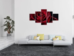 Obraz - Czerwona róża (125x70 cm)