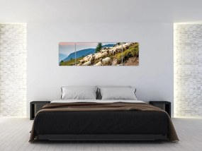 Obraz - Stado owiec (170x50 cm)
