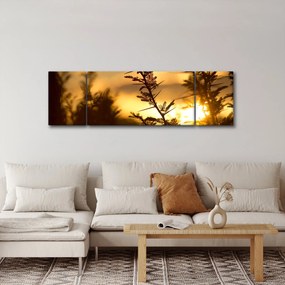 Obraz - słońce zachodzące za drzewami (170x50 cm)