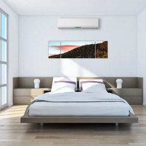 Obraz rudzików nad wzgórzem (170x50 cm)