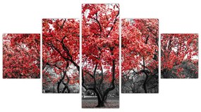 Obraz - Czerwone drzewa, Central Park, New York (125x70 cm)