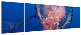 Obraz meduzy (170x50 cm)