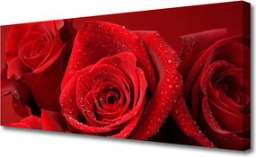 Obraz na płótnie Aksamitne Płatki Róż
