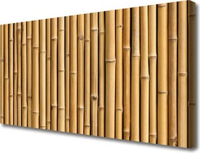 Obraz canvas Zielone Pędy Bambusa