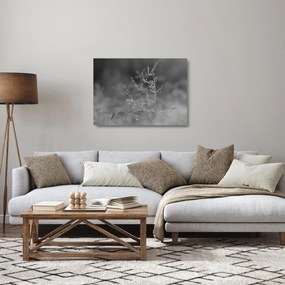 Obraz na szkle - Wiejska łąka (70x50 cm)