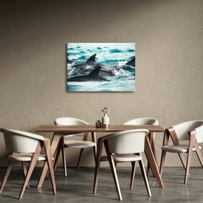 Obraz - Delfiny w oceanie (70x50 cm)