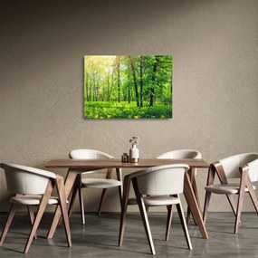 Obraz na szkle - Wiosenny las liściasty (70x50 cm)