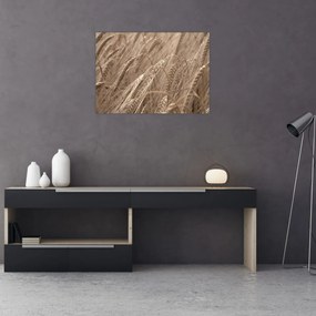 Obraz - Złote pole (70x50 cm)
