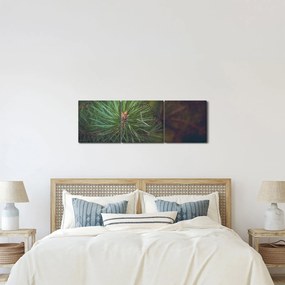 Obraz - Detal sosny (z zegarem) (90x30 cm)